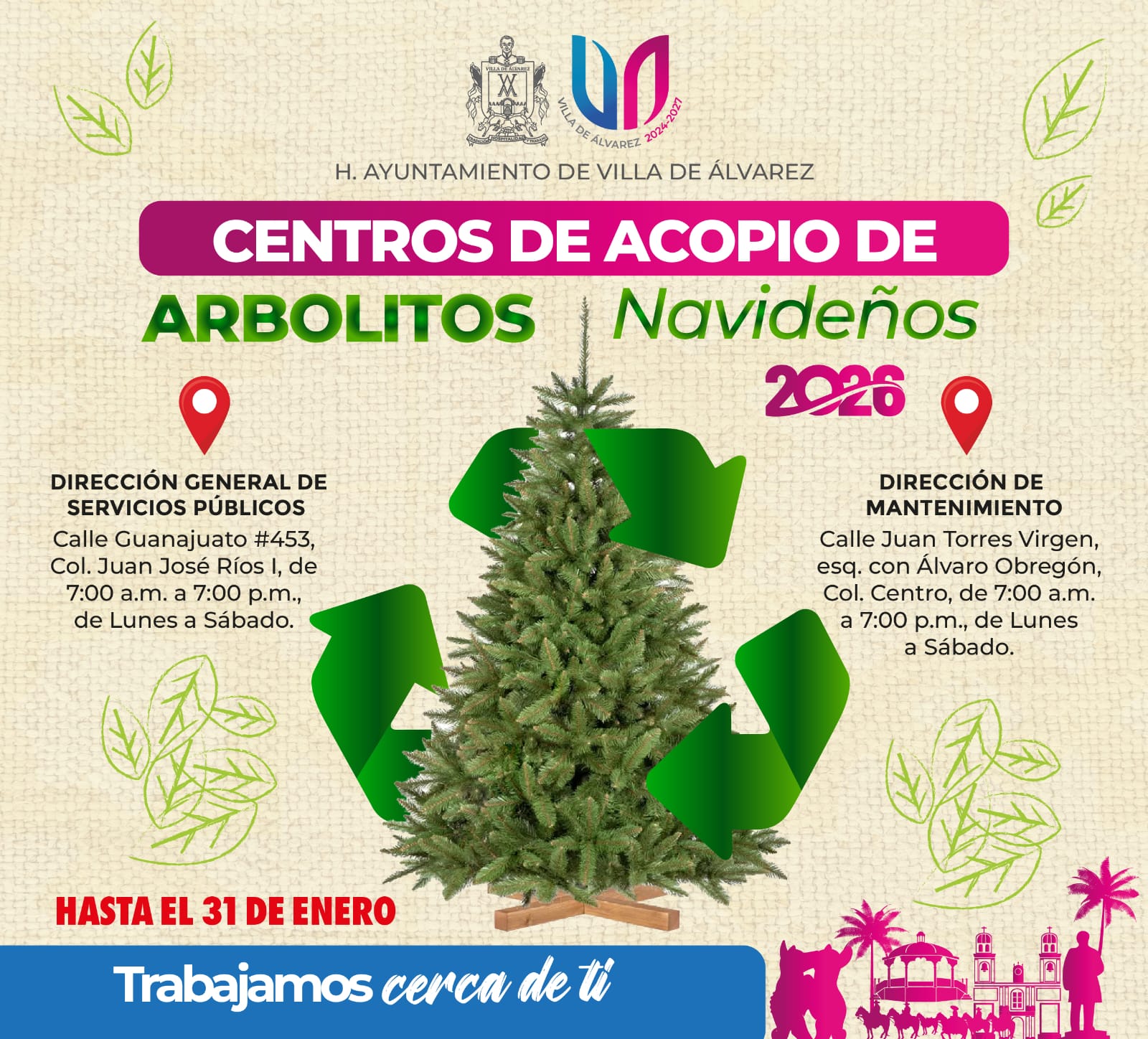 ¡Dale un destino verde a tu arbolito de Navidad!
En Villa de Álvarez seguimos trabajando para cuidar nuestro medio ambiente.
Si aún tienes tu arbolito en casa, ¡tráelo a nuestros centros de acopio! Tienes hasta el 31 de enero para entregarlo.

¡Tu participación es muy importante para mantener nuestro municipio limpio y ordenado!